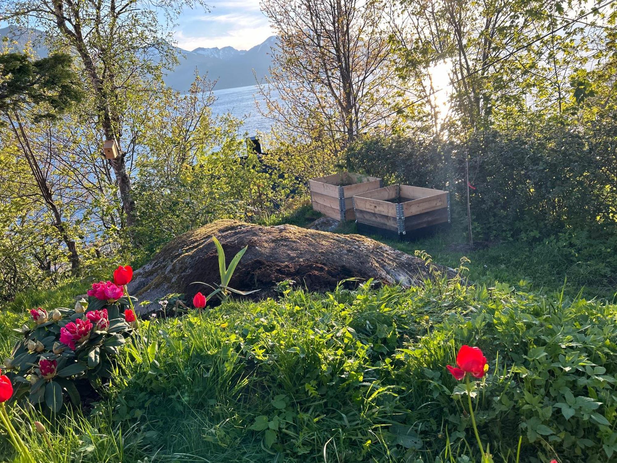 Line Pa Hauane1 Bed & Breakfast Volda ภายนอก รูปภาพ
